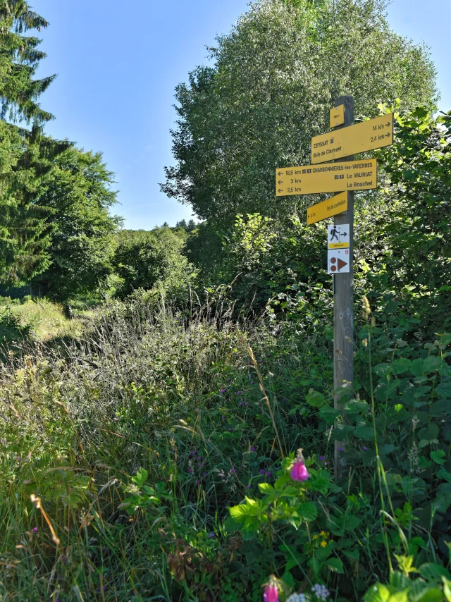 Randonnée aux puys Jumes, Coquille et Louchadière à Saint-Ours-les-Roches