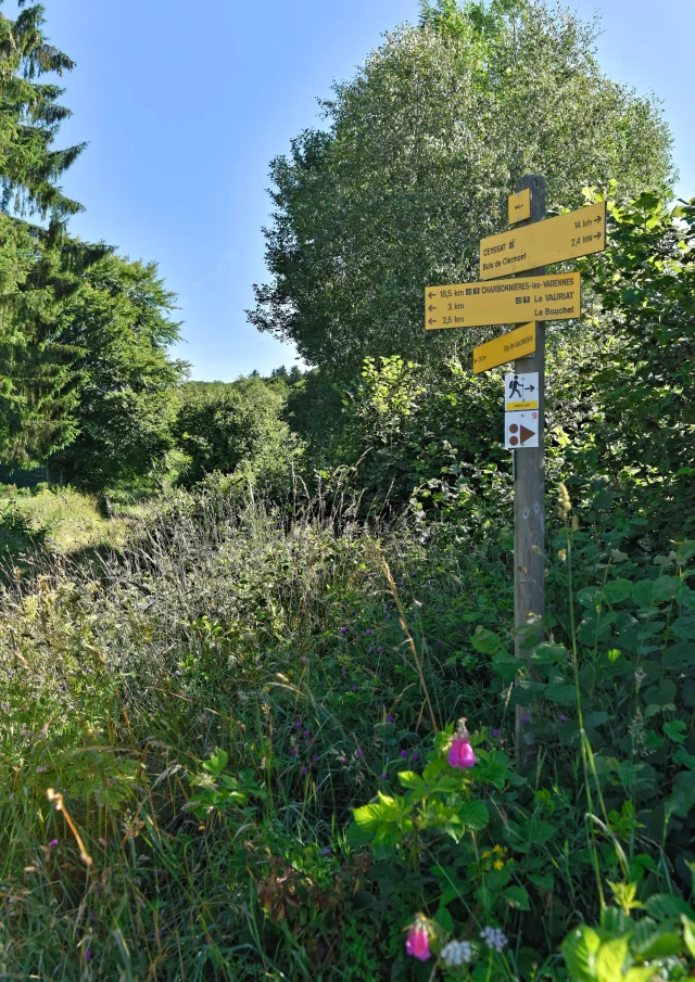 Randonnée aux puys Jumes, Coquille et Louchadière à Saint-Ours-les-Roches