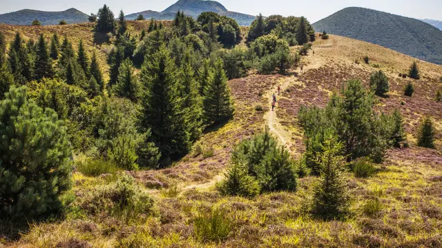 Randonnée aux puys Chopine et des Gouttes à Saint-Ours-les-Roches