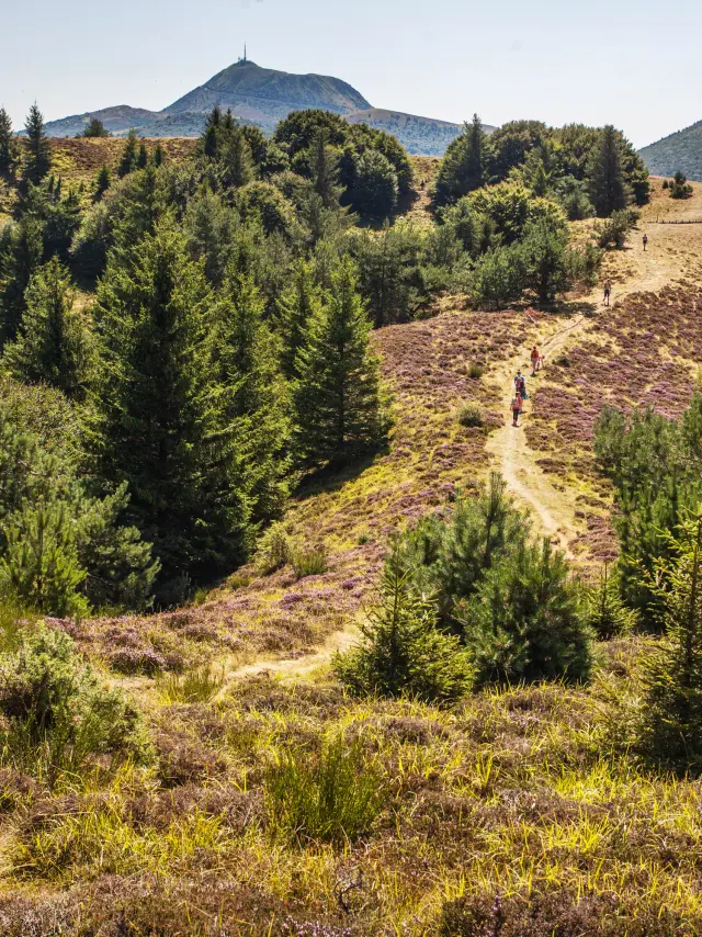Randonnée aux puys Chopine et des Gouttes à Saint-Ours-les-Roches