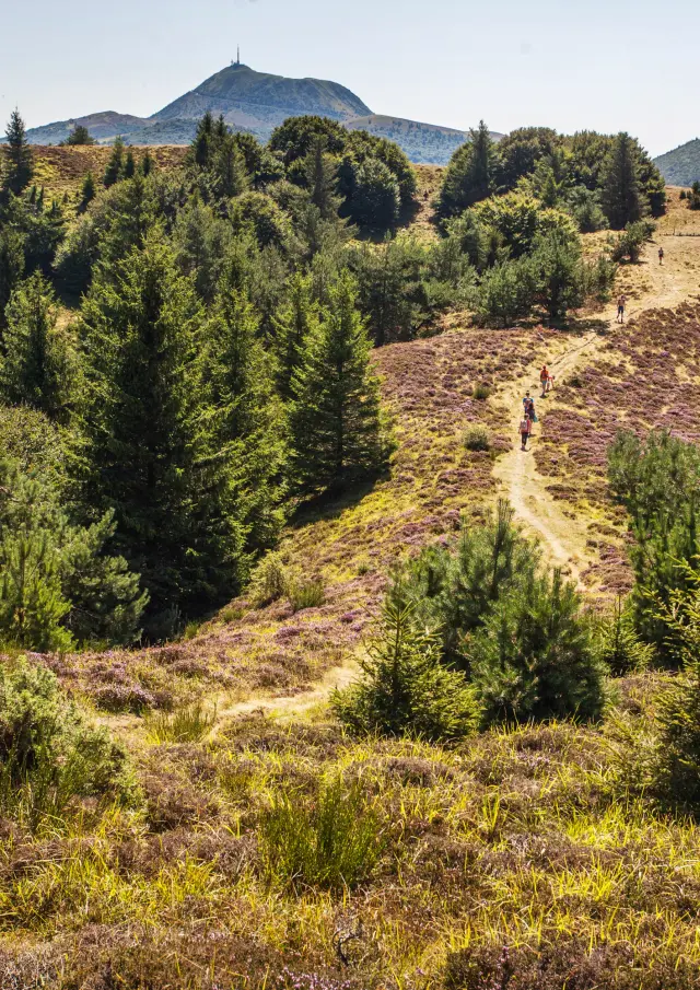 Randonnée aux puys Chopine et des Gouttes à Saint-Ours-les-Roches