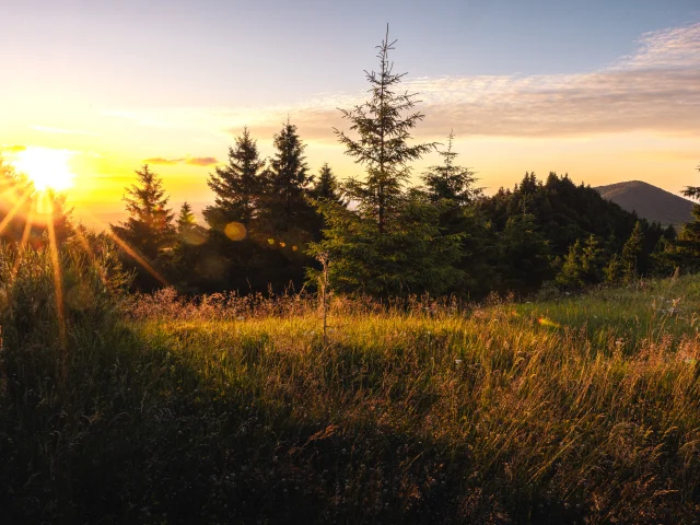 Puys Chopine et des Gouttes à Saint-Ours-les-Roches