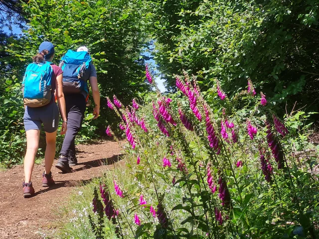 Randonnée sur le GR441 à Saint-Ours-les-Roches