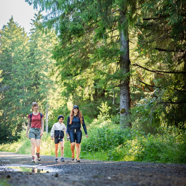 Randonnée aux puys Chopine et des Gouttes à Saint-Ours-les-Roches