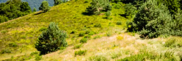 Randonnée aux puys Chopine et des Gouttes à Saint-Ours-les-Roches