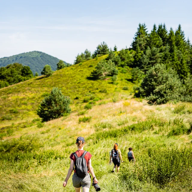 Randonnée aux puys Chopine et des Gouttes à Saint-Ours-les-Roches