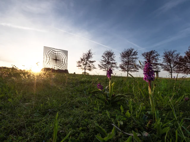 Sculpture Contempler de Thierry Courtadon à Chanat-la-Mouteyre