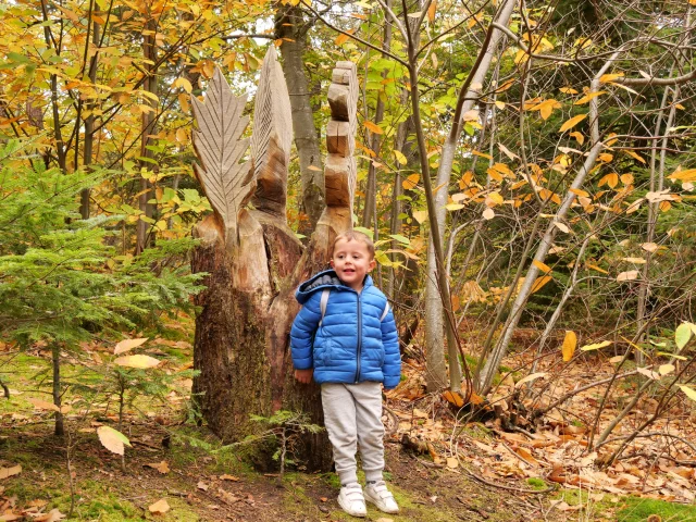 Sculptures dans la forêt communale de Châtel-Guyon