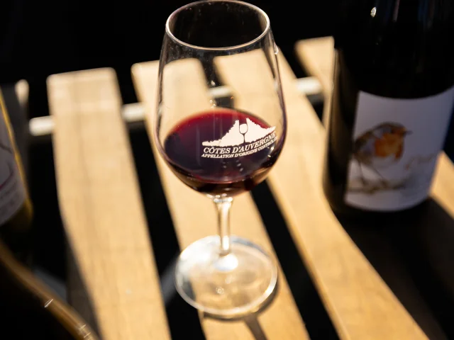 Velada de degustación de vinos en la Tour de l'Horloge de Riom