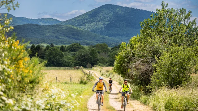 VTT à Pulvérières
