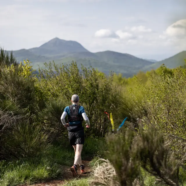Trail de la VVX - Volvic Volcanic Experience - à Volvic avec vue sur les volcans de la Chaîne des puys