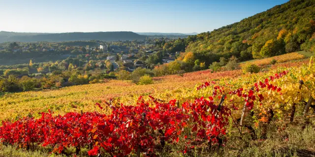 Vue sur Volvic depuis les vignes