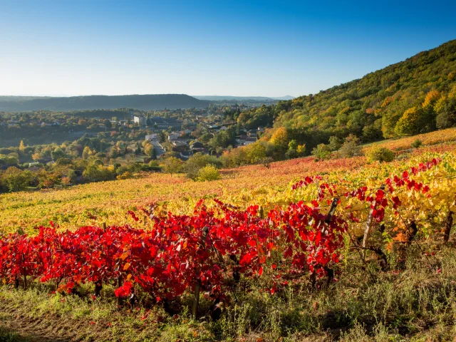 Vue sur Volvic depuis les vignes