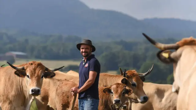 Ferme Des Cormier Vaches Volvic Jodie Way 03
