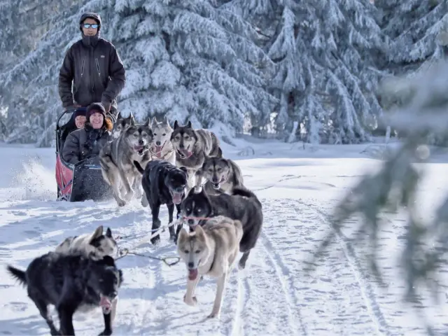 xr:d:DAF0VDmkNPQ:28,j:9043641035825374632,t:23122111