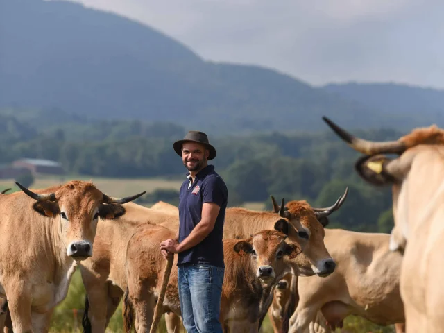 Ferme Des Cormier Vaches Volvic Jodie Way 03
