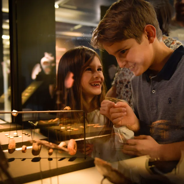 Archäologisches Museum der Schlacht von Gergovia in La Roche-Blanche
