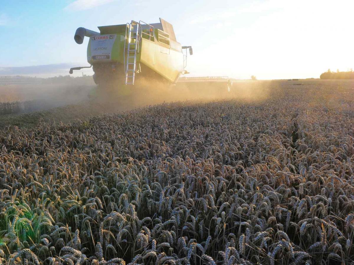 Comprendre les modes de production Manger Local à Paris Saclay