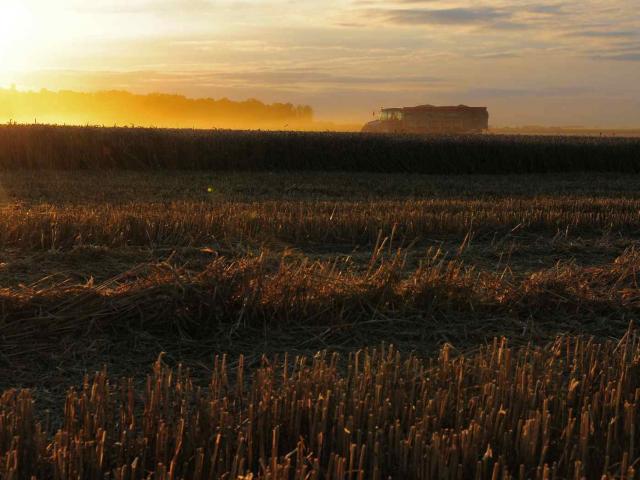 Moisson - Soleil couchant et camion