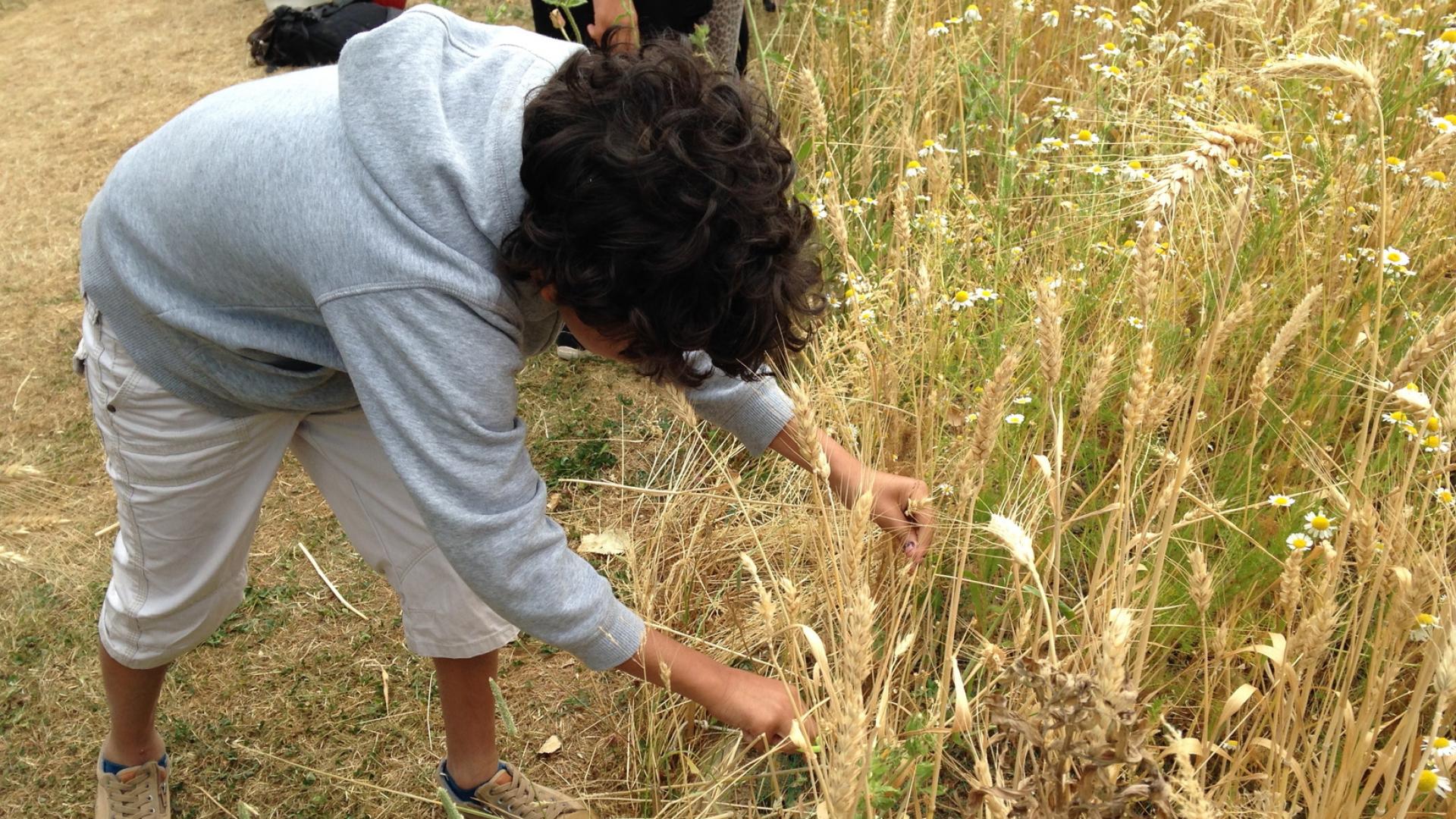 Visiter les fermes Manger Local à Paris Saclay