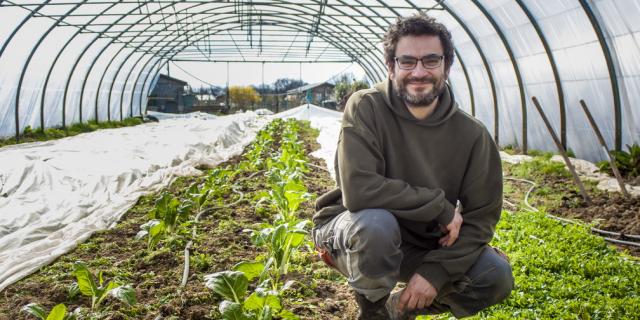 L'agriculteur Attache Les Plantes Dans Le Potager à La Ferme