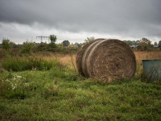 Botte de foin - Ferme de la Closeraie - Robert Pirès