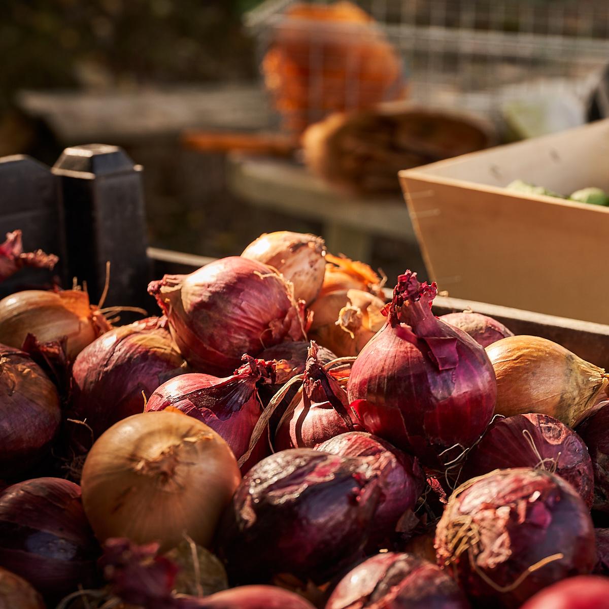 Guide du locavore Manger Local à Paris Saclay