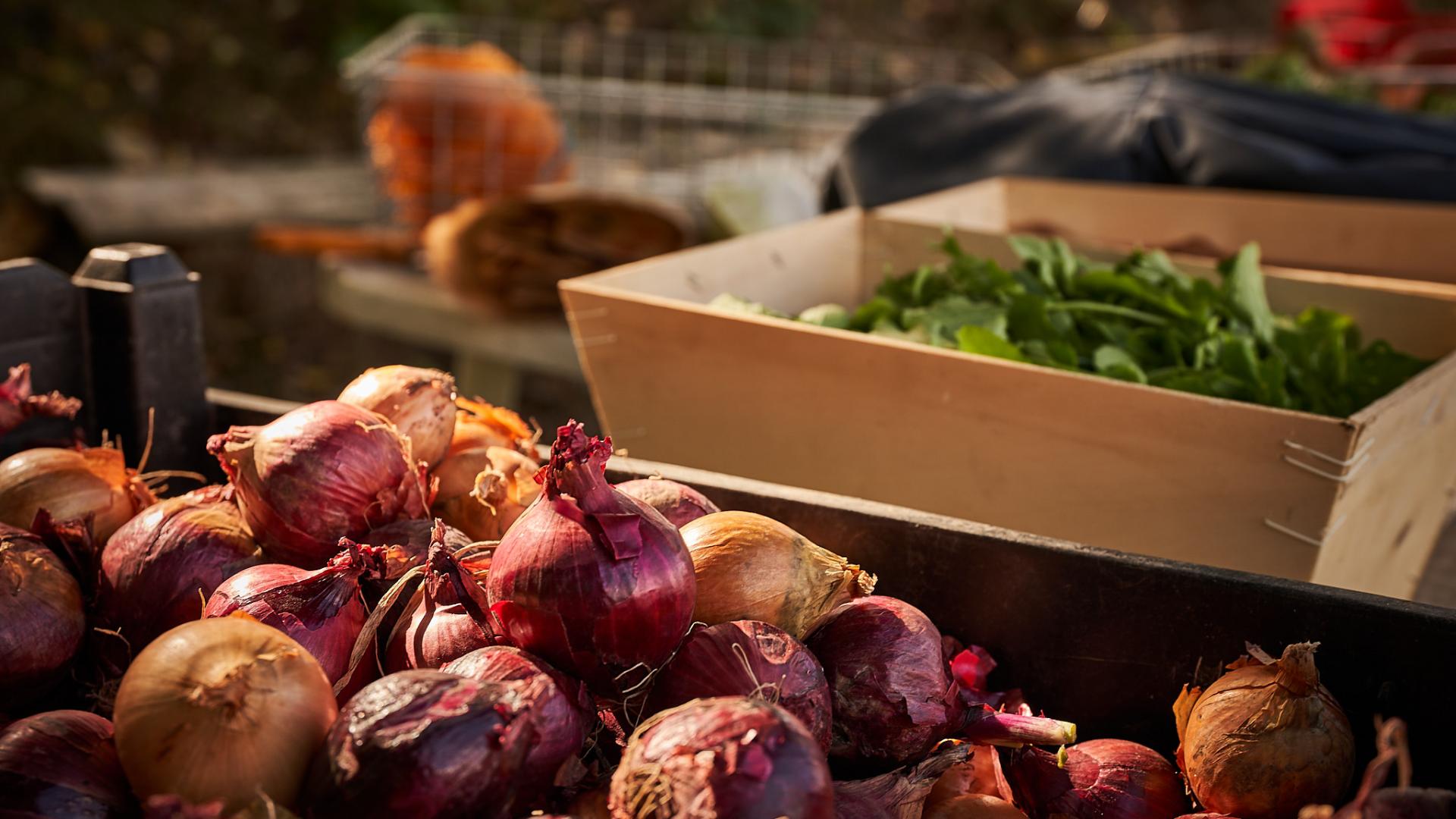 Carte des fermes Manger Local à Paris Saclay