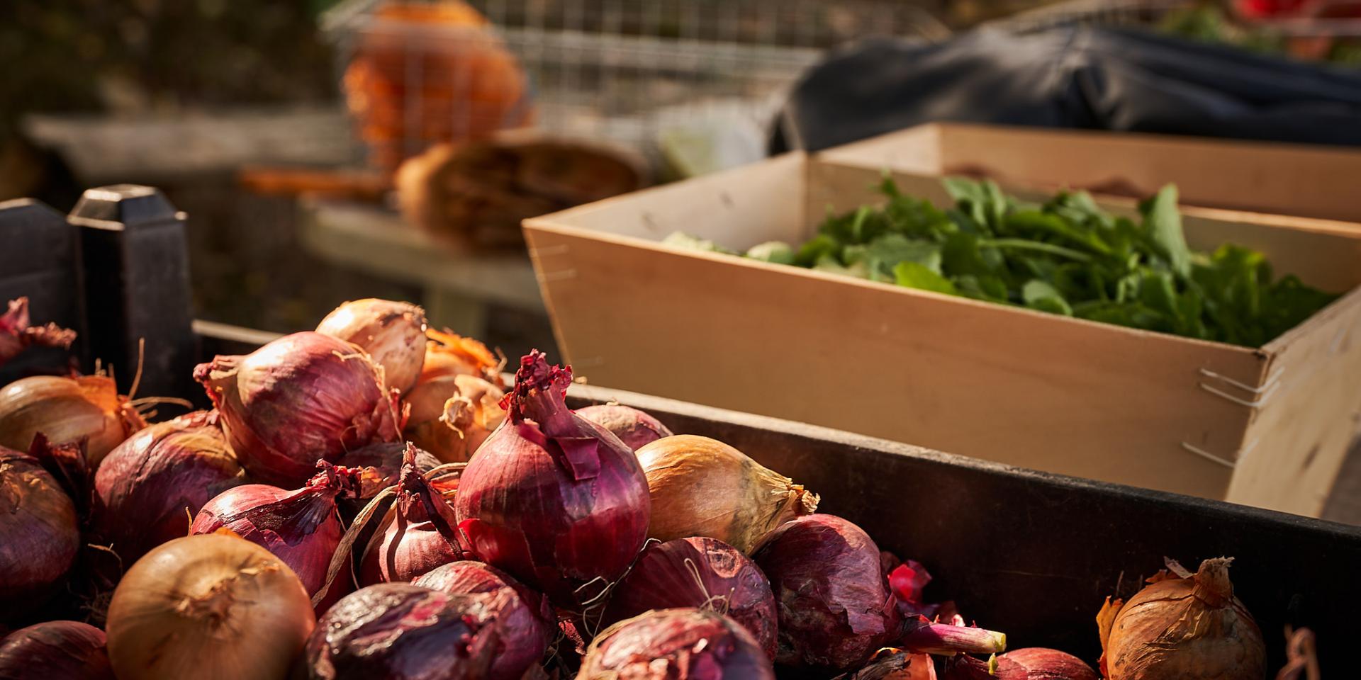 Pourquoi manger local ? Manger Local à Paris Saclay