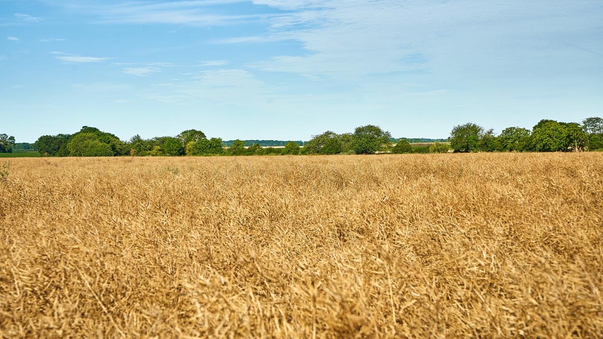 Guide du locavore Manger Local à Paris Saclay