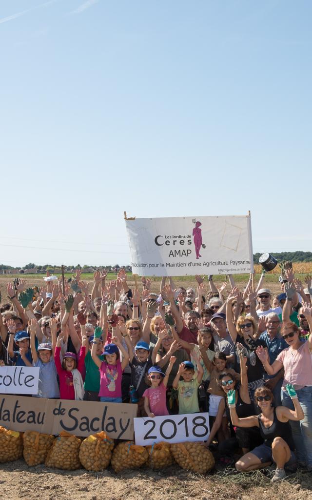 15 ème récolte du plateau de Saclay - AMAP Cérès - 2018