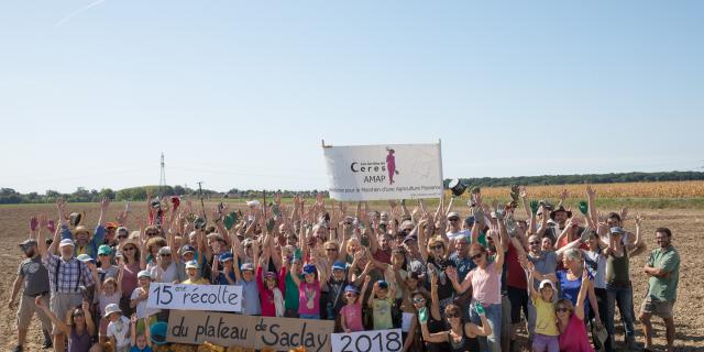 15 ème récolte du plateau de Saclay - AMAP Cérès - 2018