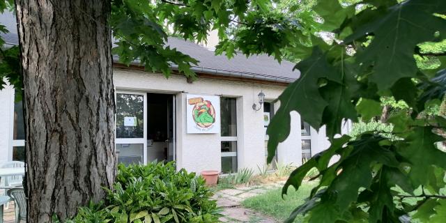 Entée épi Vert Jouy En Josas