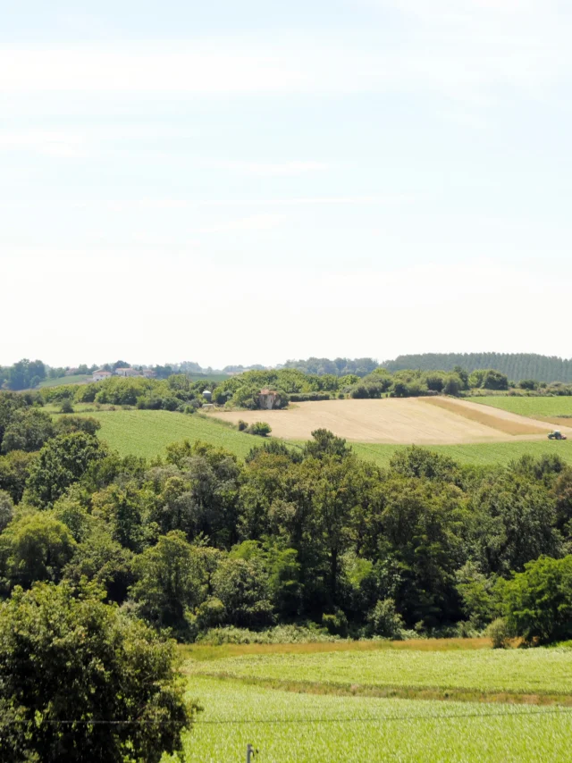 Belvedere Paysages vallonnés Terres de Chalosse