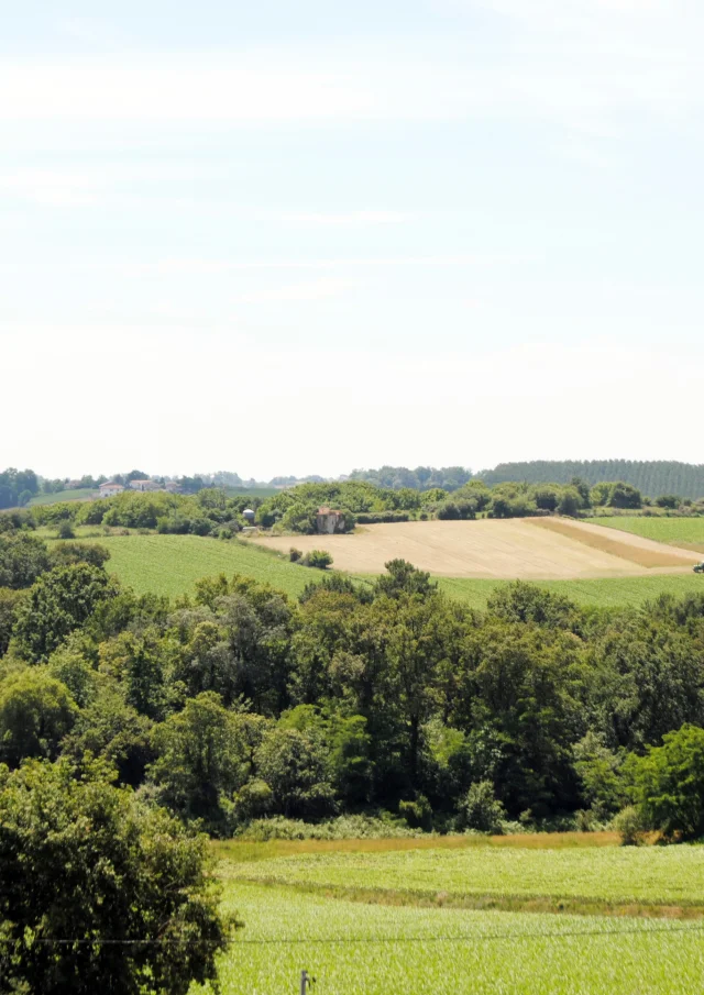 Belvedere Paysages vallonnés Terres de Chalosse