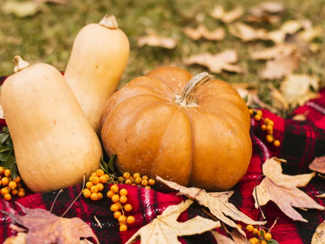 Automne Gourmand et terres de Chalosse