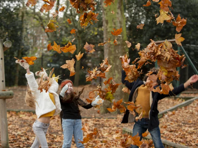 Vacances d'automne en terres de chalosse