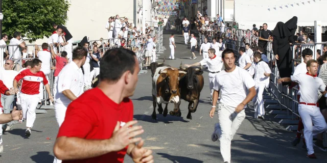 Fête de Montfort-en-Chalosse - encierro