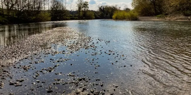 Sentier de l'Adour - Au milieu de l'Adour de Hinx à Onard
