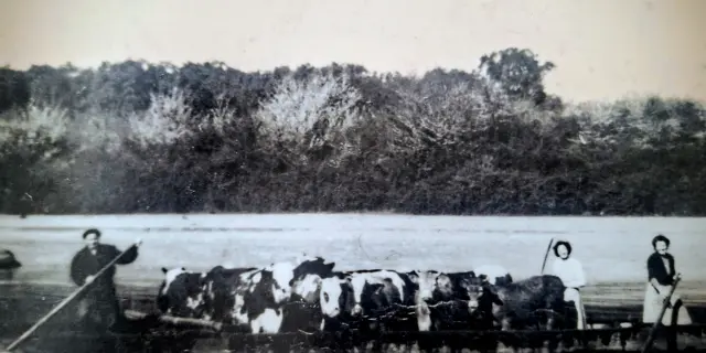 Galupe Du Port De Hinx