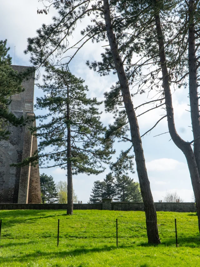Abbaye Saint Winoc Bergues 2