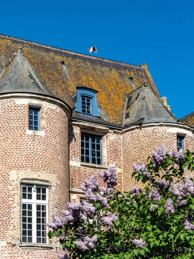 Château Esquelbecq