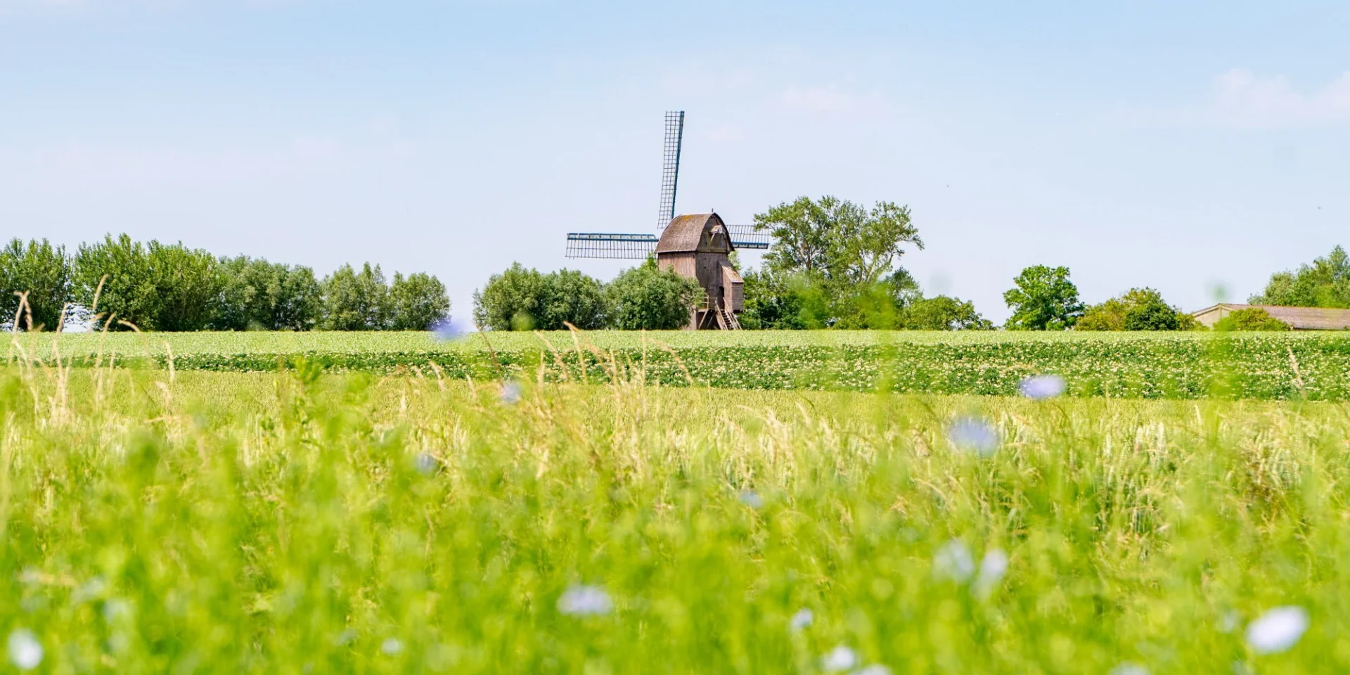 Moulin
