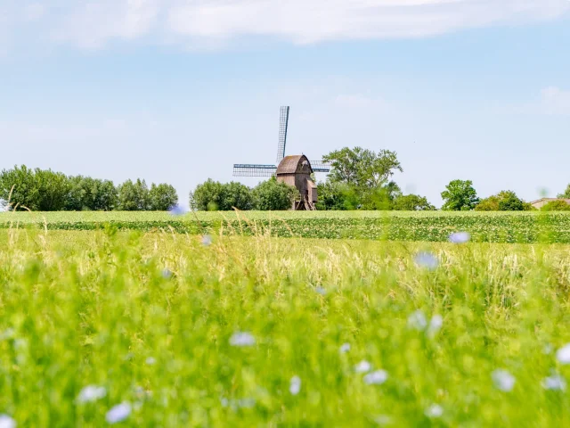 Moulin