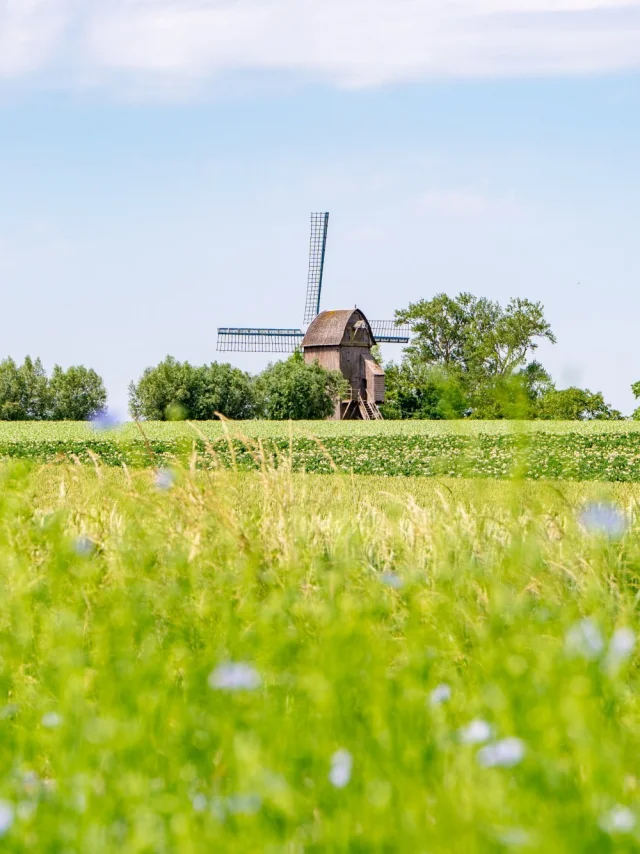 Moulin