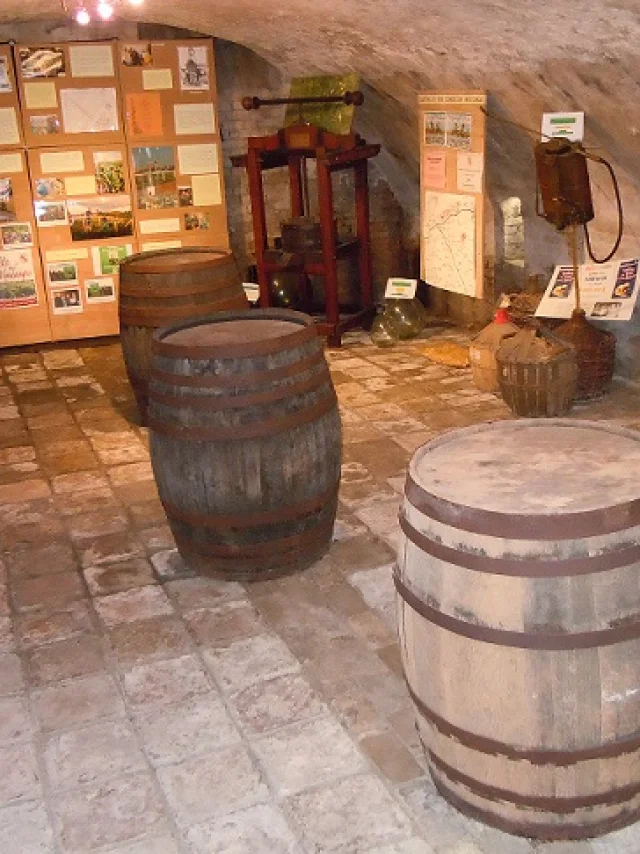 Musée des Tastewijn