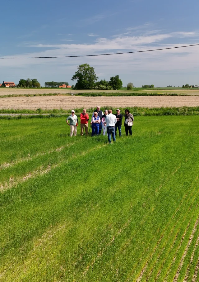Visite d'un champ de lin - Hondschoote