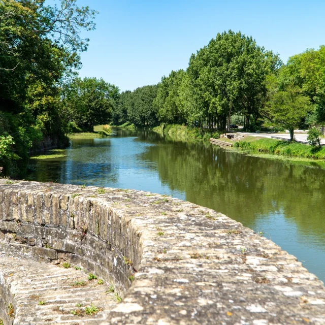 Canaux et remparts - Bergues