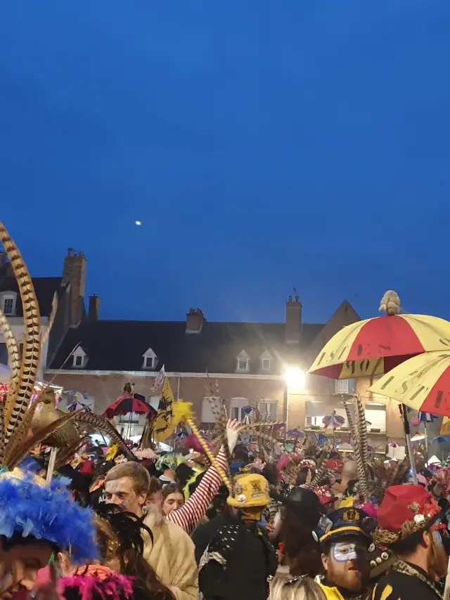 Carnaval - Bergues 2024