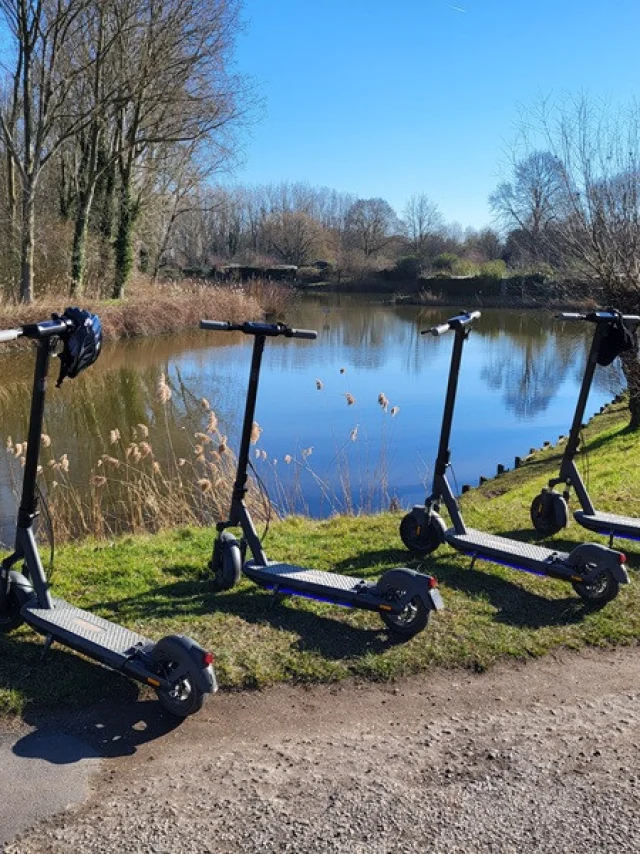 Trottinettes Électriques